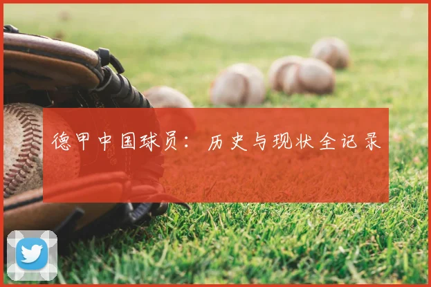 德甲中国球员:历史与现状全记录