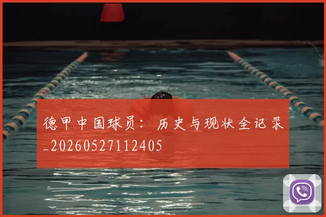 德甲中国球员:历史与现状全记录_20260527112405