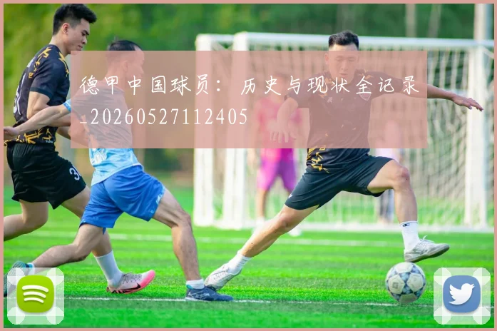 德甲中国球员:历史与现状全记录_20260527112405