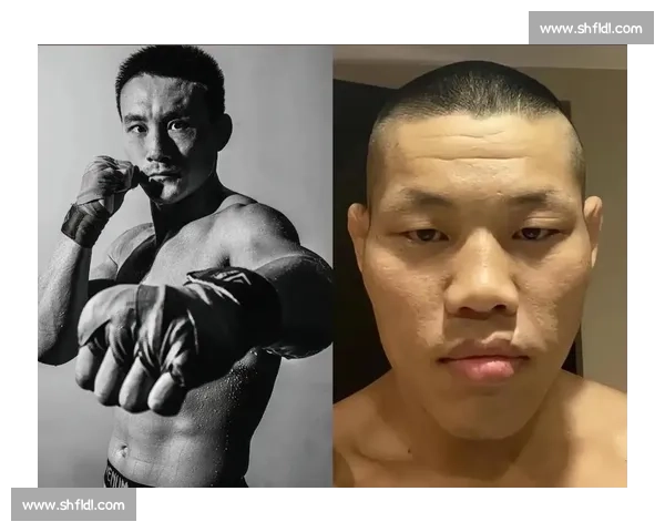 UFC 数字赛看点:不容错过的冠军争夺战 UFC 数字赛看点:不容错过的冠军争夺战